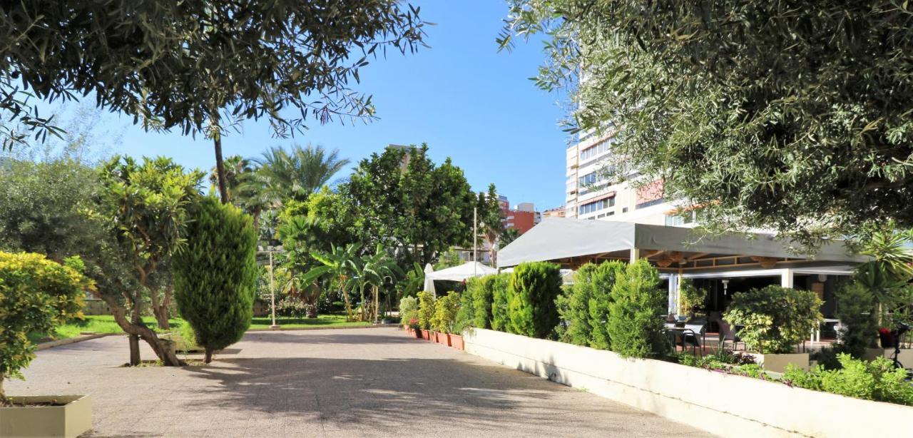 Penthouse Cervantes Sea View Benidorm Exterior photo